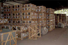 Madhav Global Sand Stone